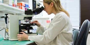 A female scientist in a laboratory looks through a microscope