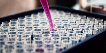 Test tubes in a lab